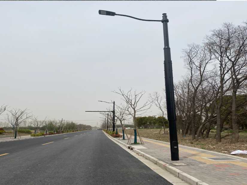 双流区上海综合杆 太阳能路灯工程